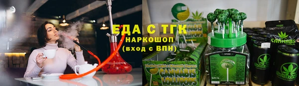 крисы Магас