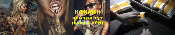 крисы Магас