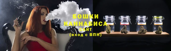 крисы Магас