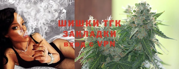 крисы Магас