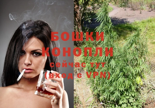 крисы Магас