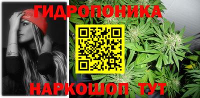 стафф Кинель