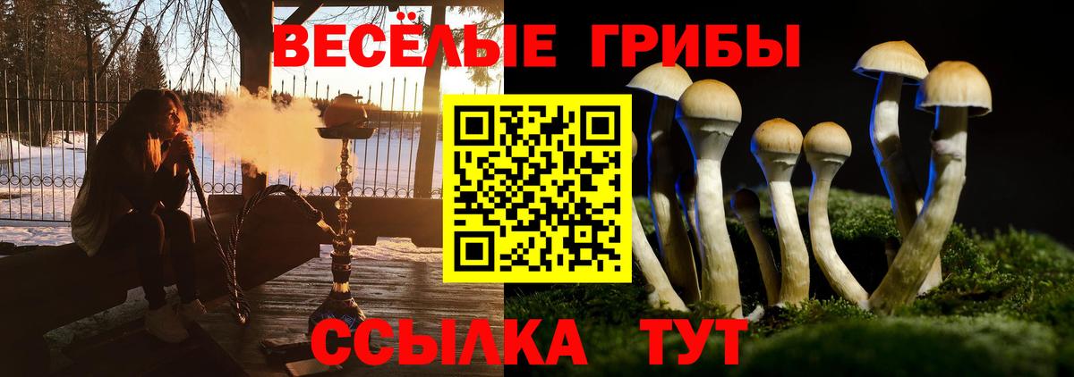 Галлюциногенные грибы мицелий Магнитогорск